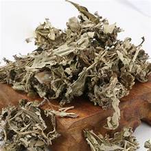 Hojas secas de artemisa de alta calidad para soporte de infusión de hierbas medicinales tradicionales - Product Image 2