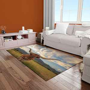 Tapis pour vaches Longhorn, Tapis de pâturage, Tapis pour vaches, Tapis pour animaux, Tapis personnalisé, Tapis en chenille - Product Image 4