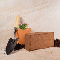 Blocs de tourbe de coco de haute qualité pour la culture des plantes