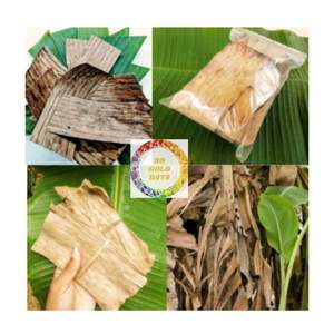 Approvisionnement en usine de feuilles de bananier séchées en gros produit biologique du Vietnam pour l'emballage de nourriture et d'utilisation pour animaux de compagnie - Product Image 4