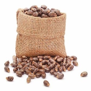 Meilleure qualité 100% graines de ricin naturelles séchées Ricinus communis à vendre au prix de gros - Product Image 1