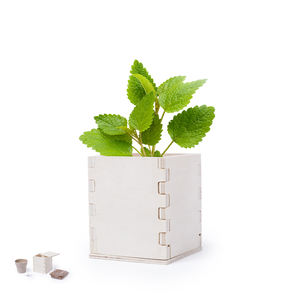 กระถางดอกไม้/บ้านและของตกแต่ง/ของขวัญและของพรีเมี่ยม/บทความที่ยั่งยืน M72622334 - Product Image 1