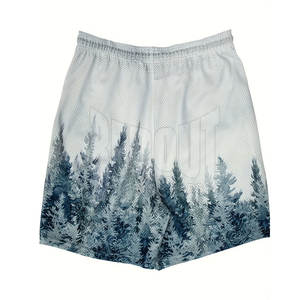 Pantalones cortos de malla de calidad superior para hombre, pantalones cortos de malla de verano para hombre, pantalones cortos de malla para correr y Fitness - Product Image 2