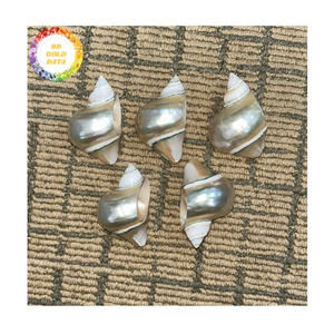 Anneaux de serviette en coquillage, prix d'usine du Vietnam, style rustique de plage, pour utilisation en café - Product Image 4