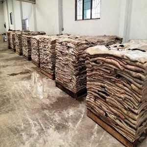 High Quality Wet Blue Cow Split Genuine Leather Salted and Dried Hides Skins for Shoe Use - Product Image 3