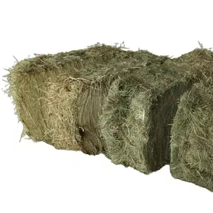 หญ้าแห้งจากปากีสถานหญ้าเทียมธรรมชาติสำหรับใช้เลี้ยงหมูม้า - Product Image 1