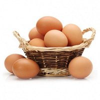 Œufs de poule fertiles à couver et œufs de table frais (bruns/blancs) avec jaunes d'œufs de caille