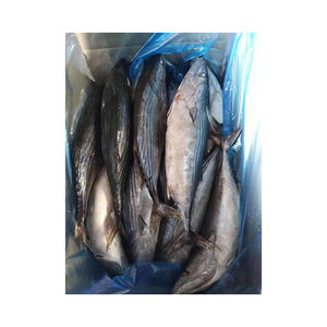 Venta al por mayor de pescado bonito congelado, suministro a granel, bajo precio, alta calidad, pescado de mar - Product Image 1