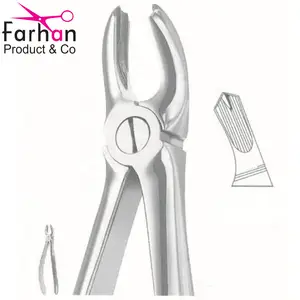 Lower Roots Dental Extracting Forceps with serrated tips and Incisors English Pattern Stainless Steel Forceps