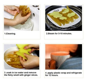 Tripa de Pescado Seca Orgánica de Primera Calidad, Envasada al Vacío, 20 kg, Origen Portugal, para Exportación a Precio Competitivo - Product Image 6