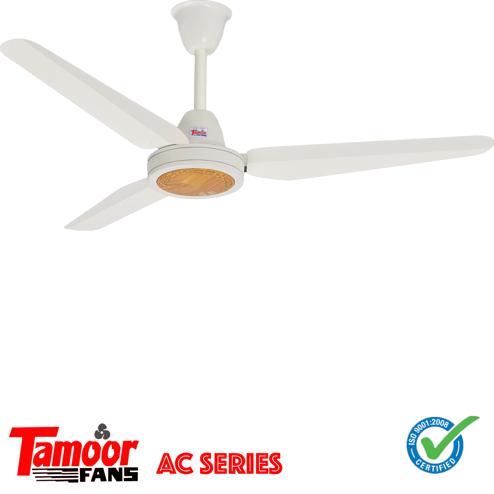 ครึ่งสีขาว