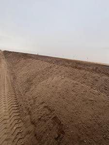 การไกล่เกลี่ยของ PAHs กับ OSR 2002 - Product Image 5