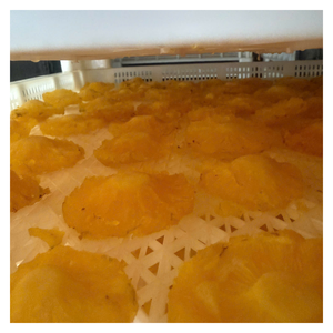 Ananas séché doux vietnamien avec processus de séchage contrôlé, idéal pour les supermarchés, les importateurs à la recherche d'un approvisionnement stable - Product Image 2