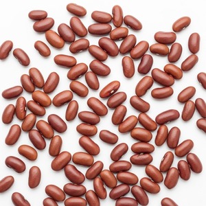 Red <b>Kidney</b> <b>Beans</b> for Restaurants Fast Food Chains Schools Kitchens Catering Services - Product Image 4