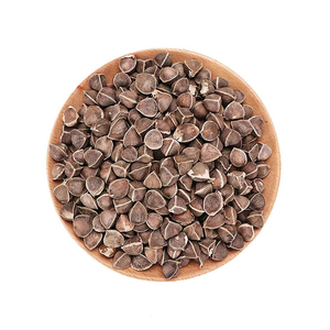 Fresh Harvest Moringa Seeds Premium Grade pour le jardinage, la cuisson de la poudre nutritionnelle et le soutien d'un mode de vie sain - Product Image 5