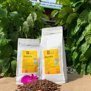 Especialidad de Vietnam AURORA 100 Arabica Granos de café tostados medianos Sabor dulce a granel Venta al por mayor con exportación de etiqueta privada OEM - Product Image 1