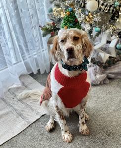 Dans les coulisses Organiser un festival de décoration de Noël - Product Image 2