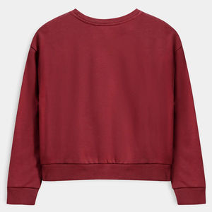 100% Women Classic Fit Hooded Cartoon Print Autumn/Winter <b>Red</b> Plus Size Sweatshirt-For Layering & Relaxed Casual Looks - Product Image 4