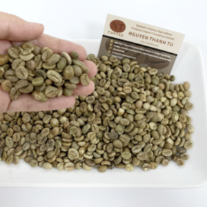 กาแฟโรบัสต้าออร์แกนิกระดับพรีเมี่ยมที่ปลูกในเวียดนามในระดับ1500ม. แห้งตามธรรมชาติและผ่านการคัดสรรอย่างดี - Product Image 3