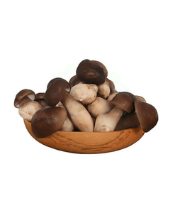 Hongo Termite Seco Premium, Cosecha Silvestre, Suministro al por Mayor - Product Image 5