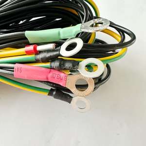 สายไฟ EV แรงดันสูงพร้อมฉนวน PVC/PTFE/ไนล่อนสำหรับการใช้งานทางอิเล็กทรอนิกส์-ตัวนำทองแดงบริสุทธิ์ - Product Image 1