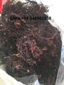 La mejor calidad-Musgo marino seco-Oro crudo, Musgo marino púrpura-100% Musgo marino irlandés de Vietnam / Lima - Product Image 5