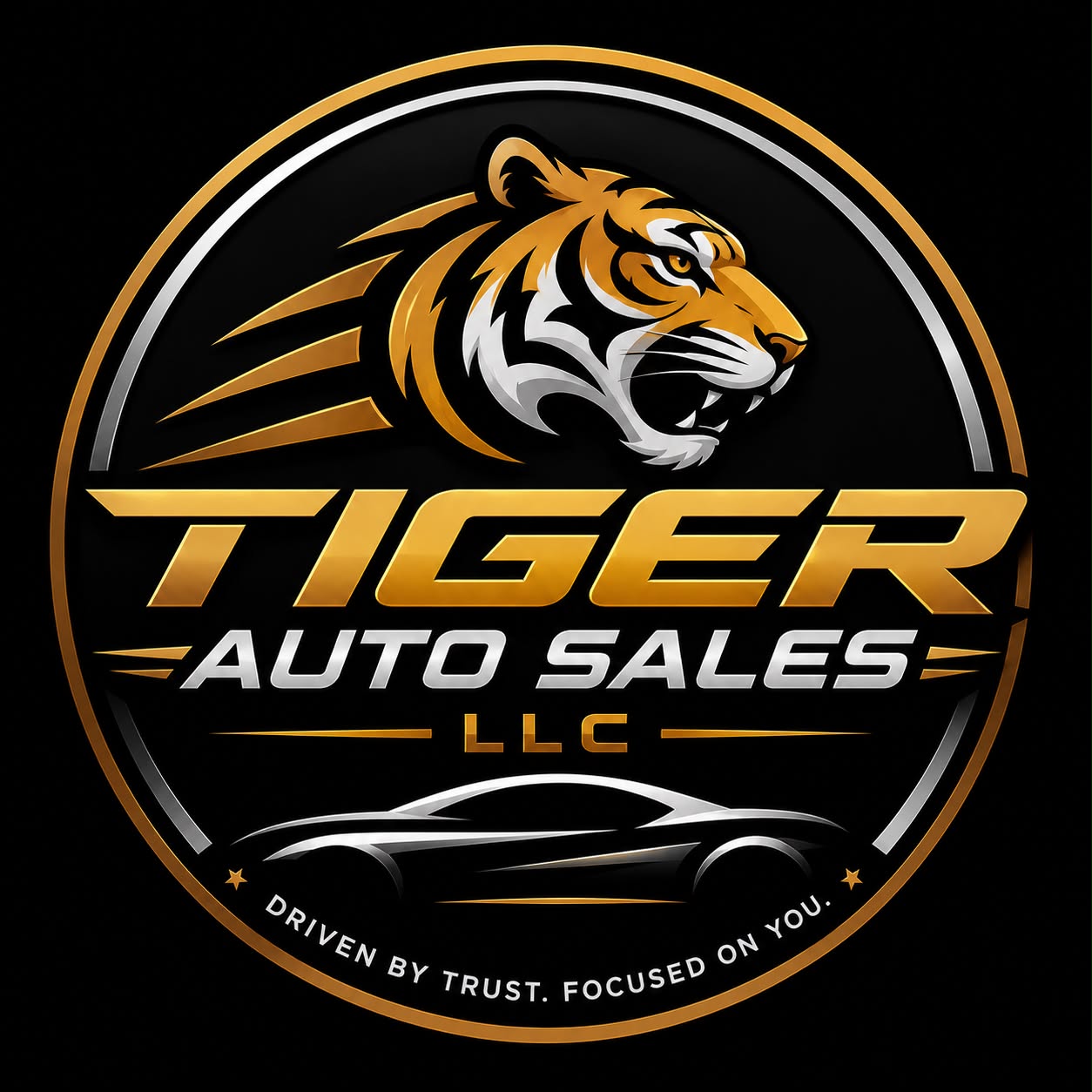 Tiger Auto Sales LLC logo
