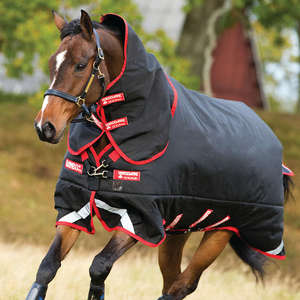 600 Denier High Neck Luxury Horse Turnout <b>Rug</b> <b>Waterproof</b> Oxford and Polycotton Fabric for <b>Outdoor</b> Horse Protection - Product Image 5