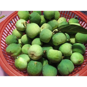 GELÉE AIYU EN GROS POUR BOBA, ORIGINE VIETNAM - Product Image 3