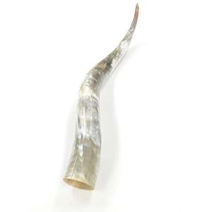 Cuerno vikingo para beber con cuerno de la India/Cuerno natural para tamaño personalizado y diseño simple producto de gran oferta - Product Image 4