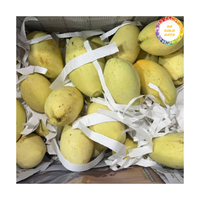 Vietnam Oorsprong Verse Mango Van Hoge Kwaliteit Rijp Mango Fruit Perfect Voor Dessert Gebruik Sapproductie En Voedselbereiding