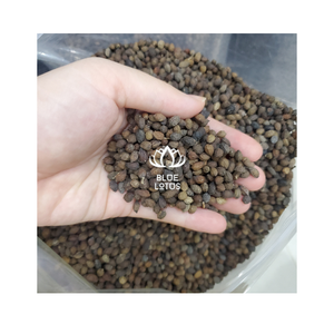 Graines de papaye séchées du Viet Nam de haute qualité à bas prix - Product Image 1