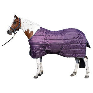 พรมกันแมลงวันป้องกันรังสียูวีสำหรับม้าผ้าห่มมีฮู้ดคอถอดออกได้ - Product Image 5