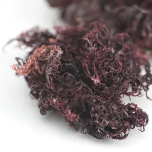 Discount 20% Irish Sea moss High Quality from Vietnam Tom