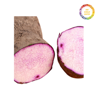 Cubos de ñame blanco africano congelado IQF Premium al por mayor, Taro de la mejor calidad, conveniente y saludable