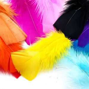 250pcs 4cm nhuộm đầy màu sắc không độc hại Thổ Nhĩ Kỳ Craft lông - Product Image 3