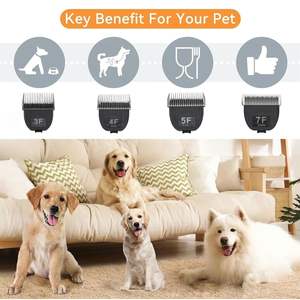 Cuchillas de Repuesto Profesionales Desmontables de Acero Inoxidable para Uso Doméstico - Product Image 3