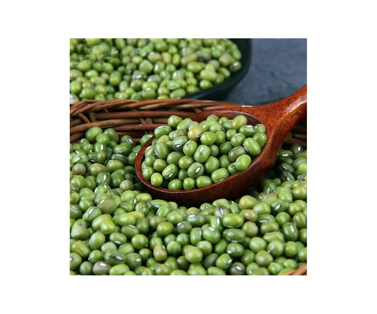 Hete Verkoop Groene Mungboon Rijk Aan Vezels En Plantaardige Eiwitten Is Een Zeer Voedzaam Vetarm Voedsel