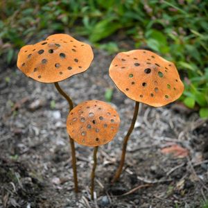 เสาสวนโลหะน้ำหนักเบาและแข็งแรงเหมาะสำหรับติดตั้งง่ายและรองรับต้นไม้ได้ยาวนาน - Product Image 6