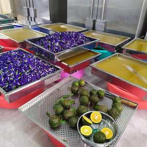 Offre Spéciale 2025! Gommes de mousse de mer à 6 saveurs en gros de haute qualité et à prix d'usine pour l'exportation/+ 84 906927736 - Product Image 3