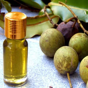 VENDEUR CHAUD HUILE DE TAMANU FOURNISSEUR DU VIETNAM INGRÉDIENT DE SOINS NATURELS APPROVISIONNEMENT EN VRAC - Product Image 4