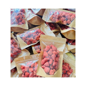 ENVÍO RÁPIDO Fresas Liofilizadas Estándar de Limpieza para Alivio Instantáneo del Hambre e Ingrediente Sabroso para Recetas de Smoothies - Product Image 3