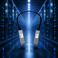 Câble Électrique Actif OSFP224 1.6T à Faible Consommation d'Énergie pour Réseaux 5G, PoE et Cloud Computing Haute Densité – Vente Directe Usine