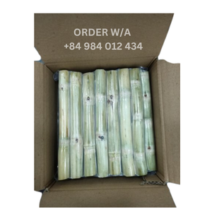 PROVEEDOR MAYORISTA DISTRIBUIDOR de Caña de Azúcar Congelada IQF de Vietnam, Lista para Enviar 2024, 100% Fresca, Natural, Dulce y Entera - Product Image 4
