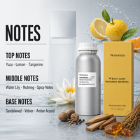 Huile parfumée inspirée des designers pour diffuseur d'air froid, huile aromatique pour diffuseur domestique, huile parfumée pour diffuseur HVAC, fournisseur d'huiles parfumées 500ml