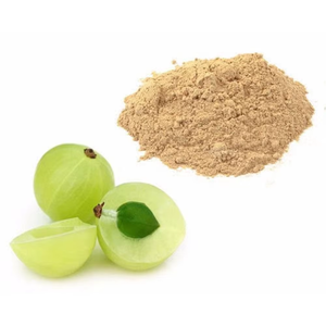 Polvo de Fruta de Amla Silvestre Cultivada, Polvo de Grosella Espinosa India de Alta Calidad, Rico en Vitamina C Antioxidante para Reforzar el Sistema Inmunitario - Product Image 2