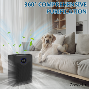 Purificador de Aire Inteligente H14 HEPA con WiFi, 1800 24dB, Negro, Alta Eficiencia - Product Image 6