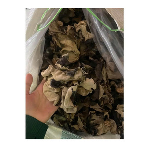 Hongo de Oreja de Madera Seco al por Mayor Mundialmente, Hongo Negro Seco, Hongo Negro de Grado Superior, Listo para Exportar - Product Image 1