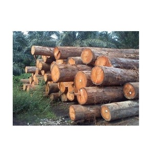 Troncos redondos de madera Meranti para instrumentos musicales: sonido resonante de alta calidad - Product Image 2