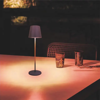 Lampe de bureau moderne à LED rechargeable sur batterie, à commande tactile, blanc chaud, intensité variable, pour restaurant, café, chambre à coucher